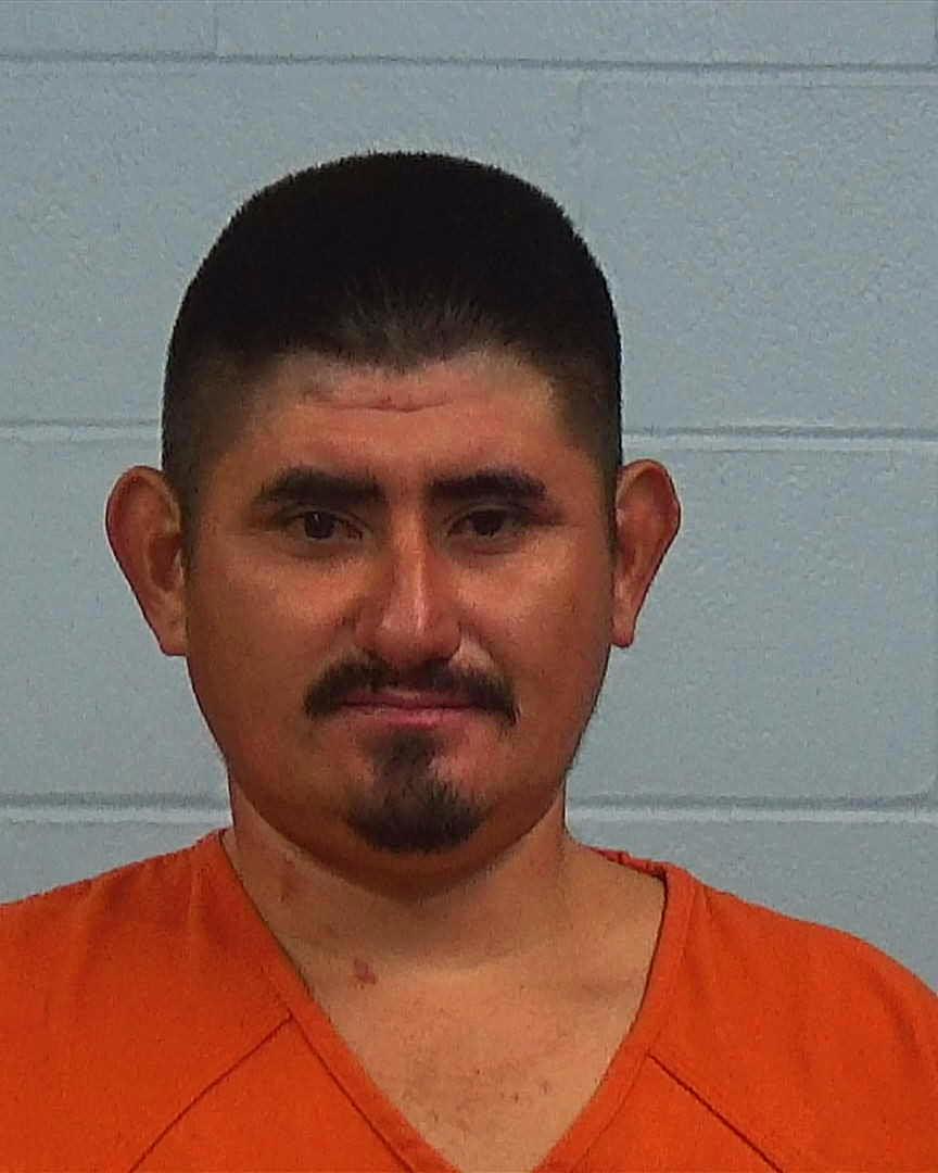 Lara Serrano, Gilbert booking photo