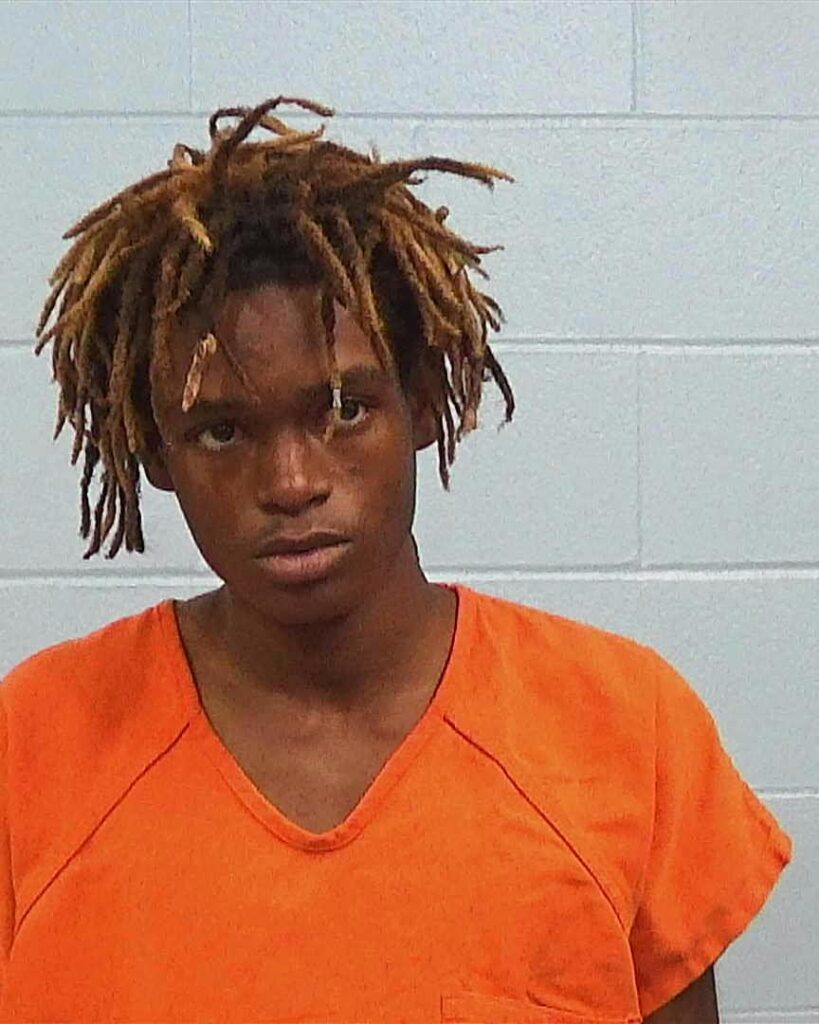 Williams, Christian Dillard arrested in Williamson County, Texas mugshot