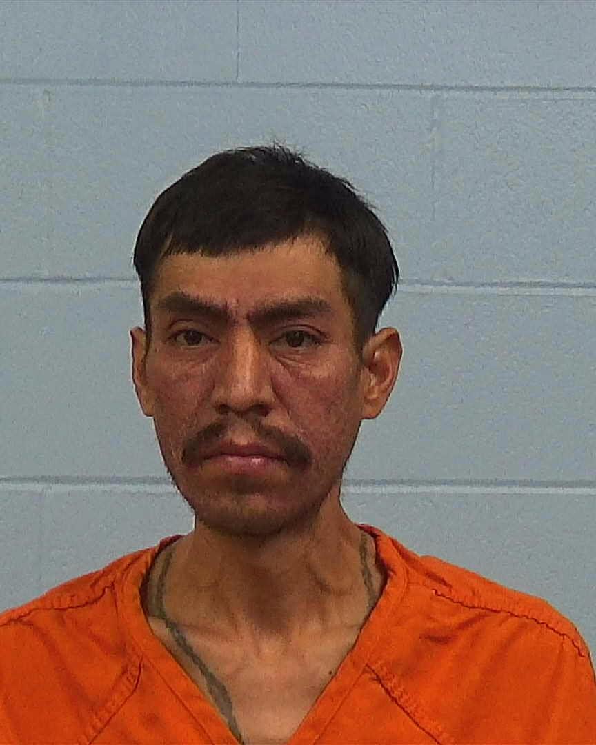 Martinez Ariza, Jesus booking photo