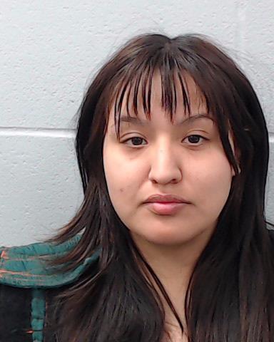 Candanoza, Celeste Cheryl arrested by Hays County SO/PD