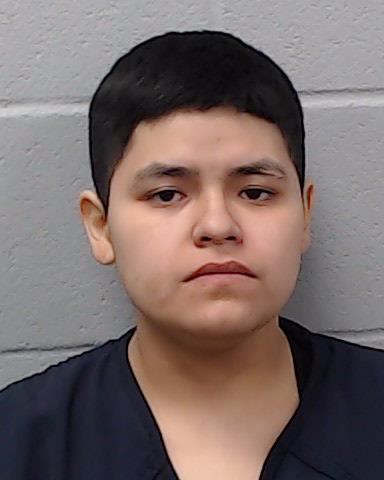 Castillo, Hannah arrested by Hays County SO/PD