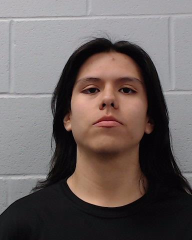Banegas, Aiden Joaqin arrested by Hays County SO/PD