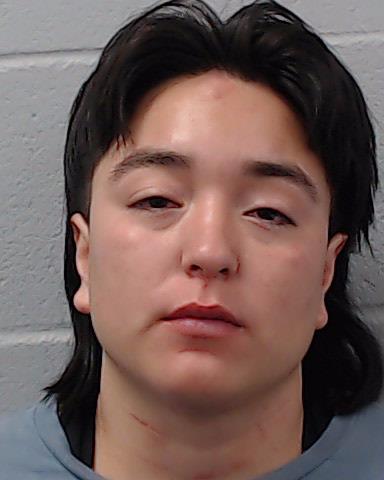 Pena, Anevay Elysa arrested by Hays County SO/PD