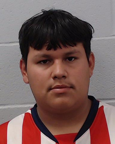 Leon, Oscar arrested by Hays County SO/PD