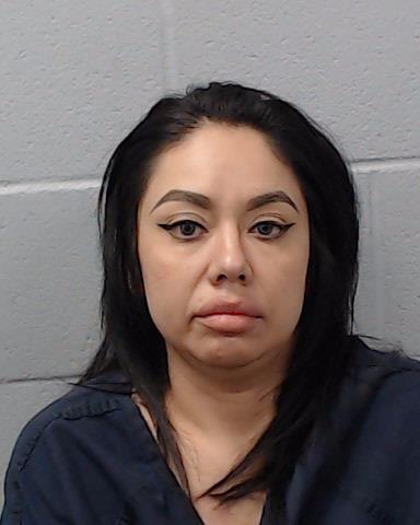 Inguanzo, Angelica arrested by Hays County SO/PD