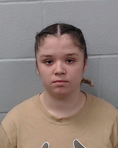 Benavidez, Alissa Marie arrested by Hays County SO/PD