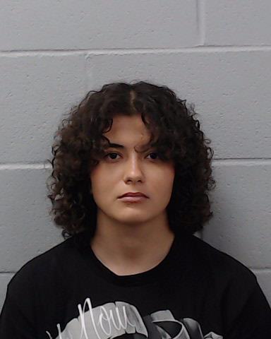 Hills, Natasha Melena arrested by Hays County SO/PD