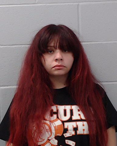 Garza, Brandy Leigh arrested by Hays County SO/PD
