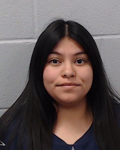 Perez, Elisa Nicole arrested by Hays County SO/PD