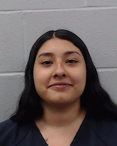 Torres, Cecelia arrested by Hays County SO/PD
