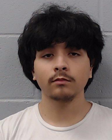 Williams, Jerin Lee arrested by Hays County SO/PD