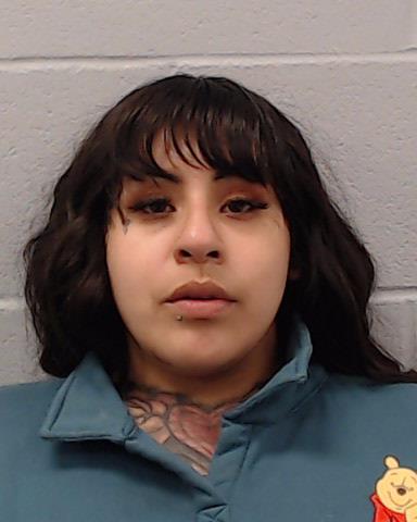 Rivas, Jessica Nicole arrested by Hays County SO/PD