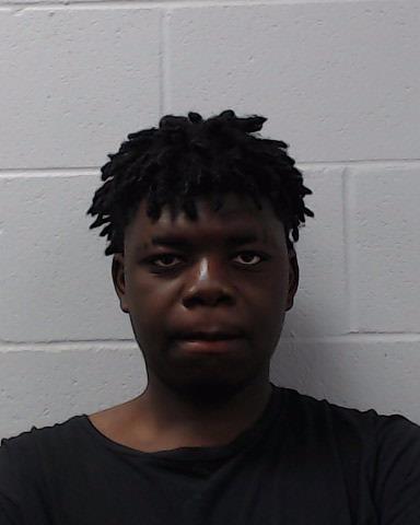 Evans-Palmer, Jalen Dashwd arrested by Hays County SO/PD