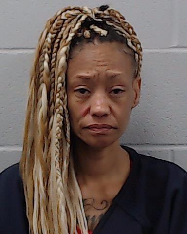 Rice, Tricia Ann arrested by Hays County SO/PD