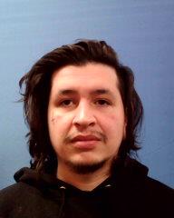 Stephens, Taylor Aron arrested by Williamson County PD/SO