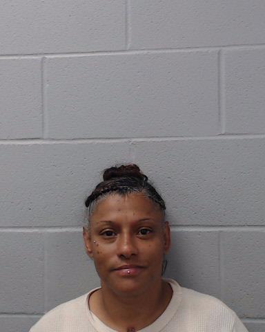 Mendieta, Diana arrested by Hays County SO/PD