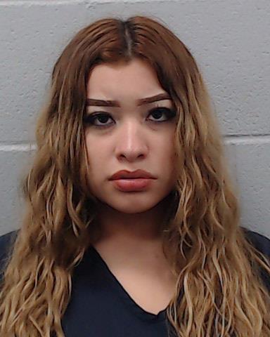 Lopez-Alvarado, Iliana Adalis arrested by Hays County SO/PD