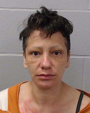 Castillo, Rita Adelita arrested by Hays County SO/PD