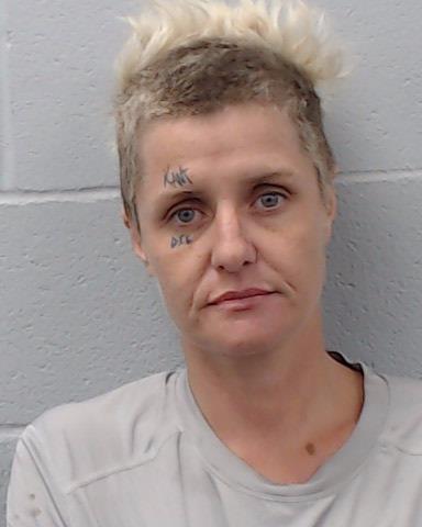 Johnson, Lisa Dawn arrested by Hays County SO/PD