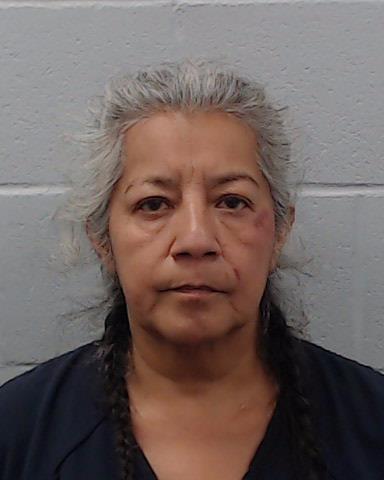 Reyes, Diana arrested by Hays County SO/PD