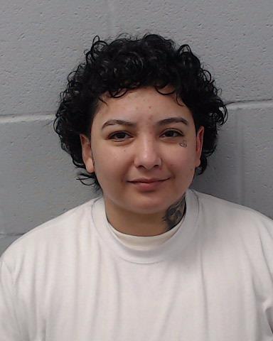 Garza, Brittney Nichole arrested by Hays County SO/PD