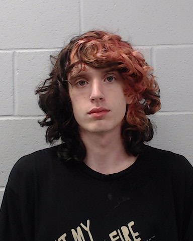 Reynolds, Aidan James arrested by Hays County SO/PD