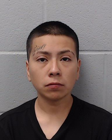 Gonzales, Francis Rae arrested by Hays County SO/PD