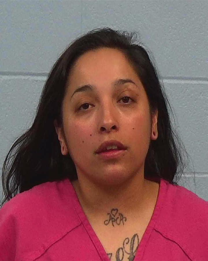 Meza, Ashley Marie arrested by Williamson County PD/SO