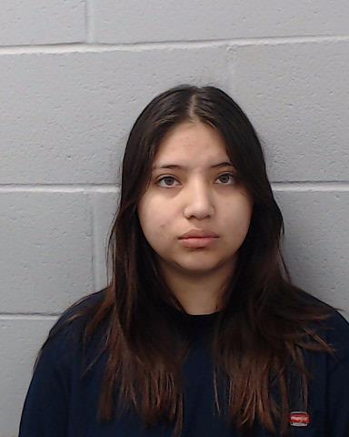 Sanchez, Lisa Shea arrested by Hays County SO/PD