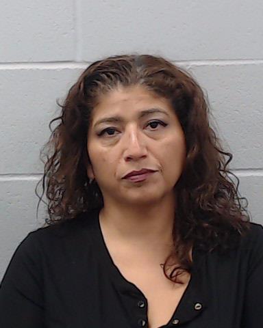 Villarreal, Erica Castillo arrested by Hays County SO/PD