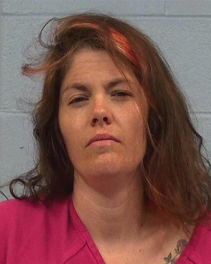 Lane, Jenny Ann booking photo