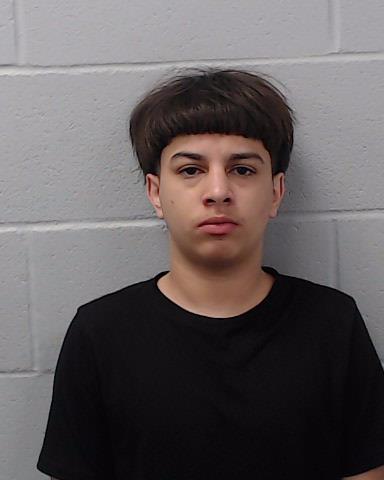 Serna, Edwin, Jr. arrested by Hays County SO/PD