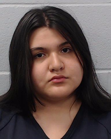 Reyes, Isabel Irene arrested by Hays County SO/PD