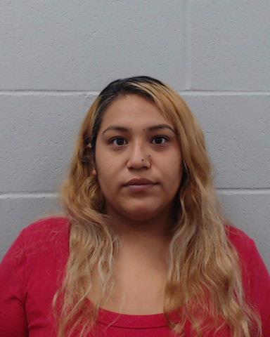 Castillo, Julianna Renee arrested by Hays County SO/PD