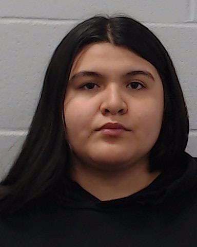Reyes, Isabel Irene arrested by Hays County SO/PD