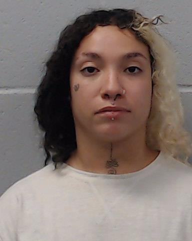 Salerno, Monica arrested by Hays County SO/PD
