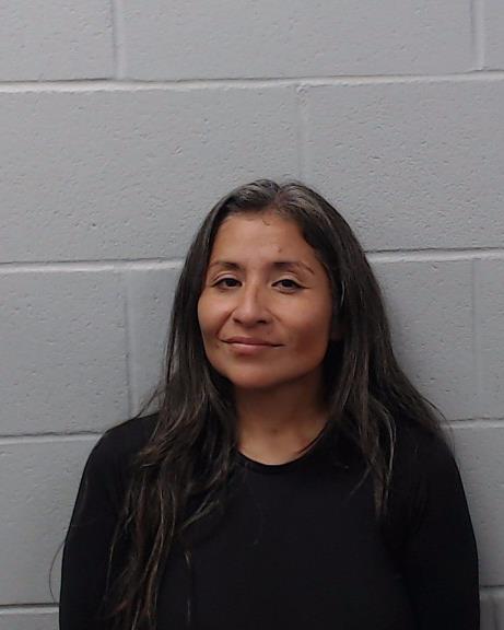 Puga, Sandra Valencia arrested by Hays County SO/PD