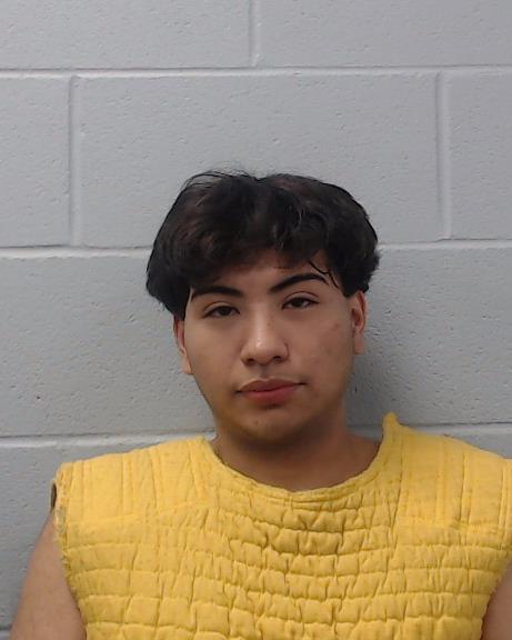 Martinez Galvan, Mark Alexander arrested by Hays County SO/PD
