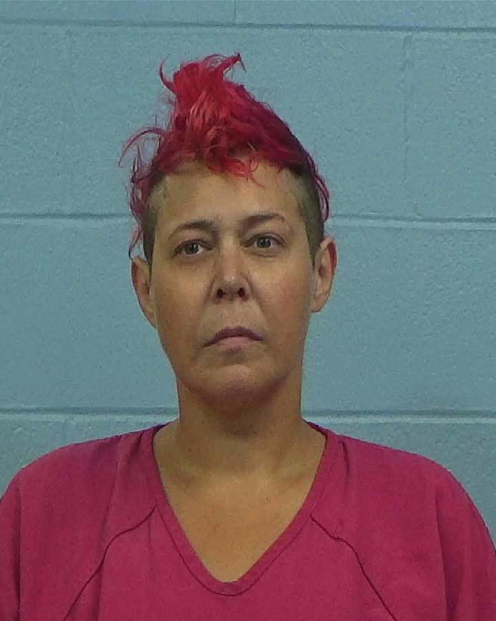 Stannard, Nicole Marie arrested by Williamson County PD/SO