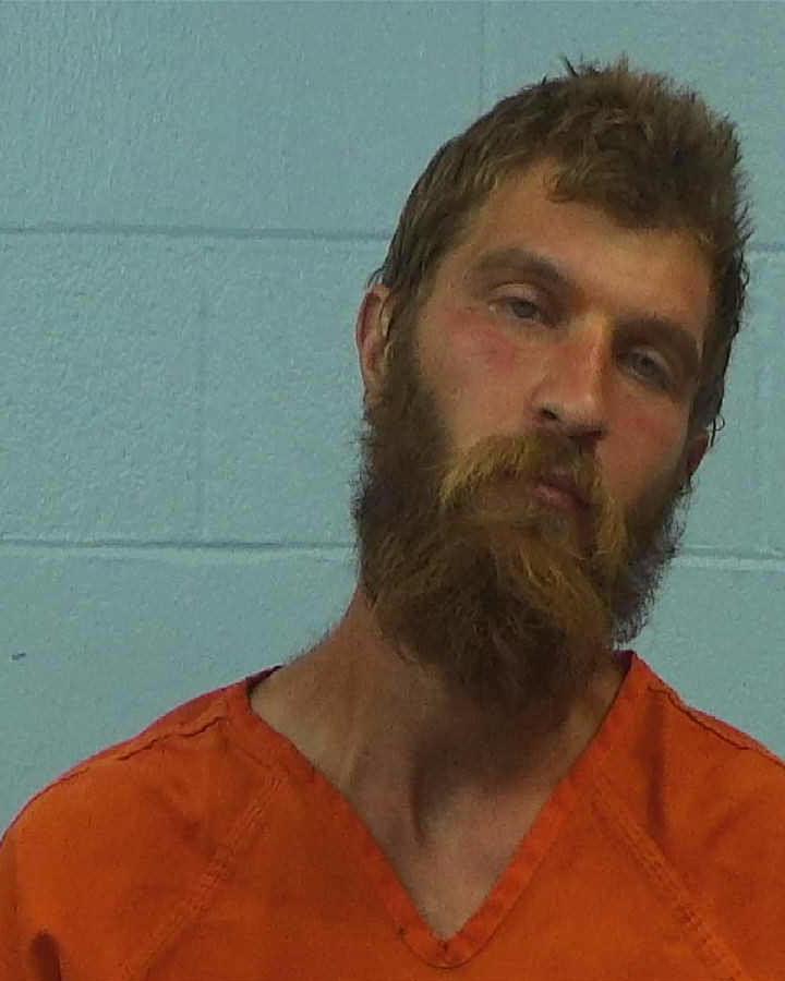 Taylor, Andrew Paul booking photo