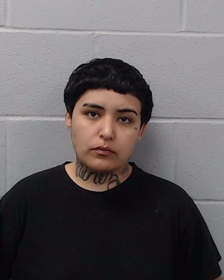 Martinez, Maricela Marie arrested by Hays County SO/PD