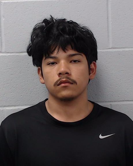 Johnson, Hector arrested by Hays County SO/PD