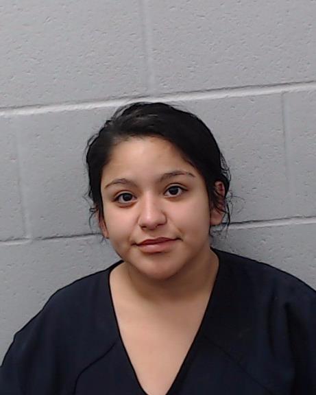 P Villarreal, Mary Ann Nicole arrested by Hays County SO/PD