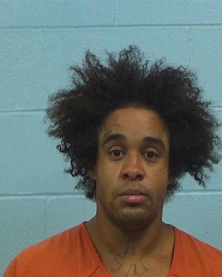 Steele, Jonathan Agassi arrested by Williamson County PD/SO