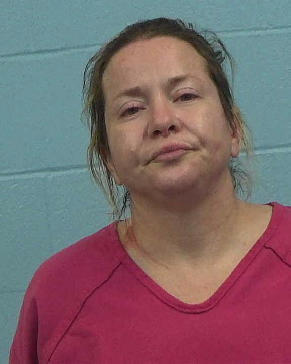 Stewart, Erin Nicole arrested by Williamson County PD/SO