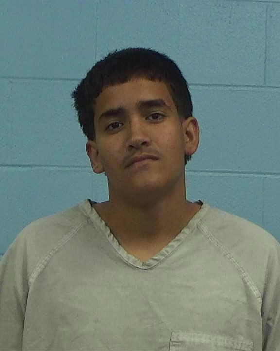 Villalobos, David Robert arrested by Williamson County PD/SO