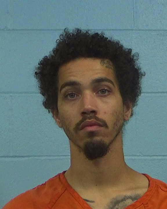 Stephens, Joshua Thomas arrested by Williamson County PD/SO