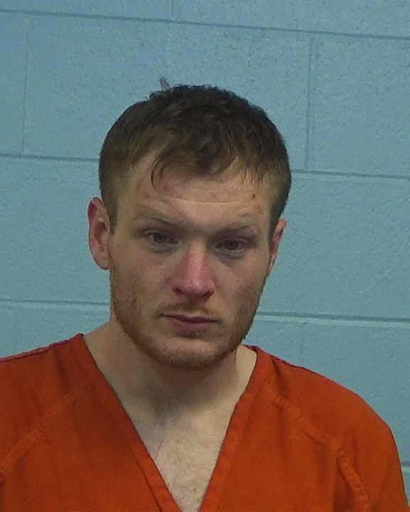 Wheelis, Austin Dale arrested by Williamson County PD/SO
