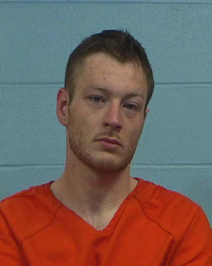 Wheelis, Austin Dale arrested by Williamson County PD/SO