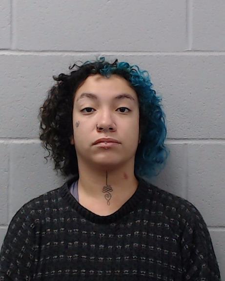 Salerno, Monica booking photo